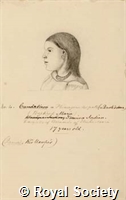 MS 236 13.jpg