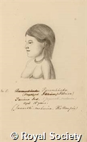 MS 236 14.jpg