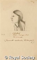 MS 236 15.jpg