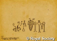MS 236 16.jpg