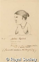 MS 236 18.jpg