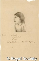 MS 236 20.jpg