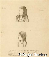 MS 236 21.jpg