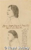 MS 236 22.jpg