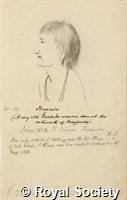 MS 236 23.jpg