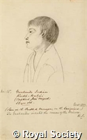 MS 236 24.jpg