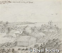 MS 236 26.jpg