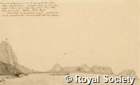 MS 236 29.jpg