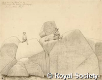 MS 236 30.jpg