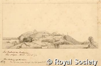 MS 236 31.jpg