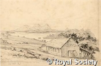 MS 236 32.jpg