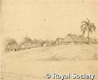 MS 236 34.jpg