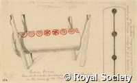 MS 236 35.jpg