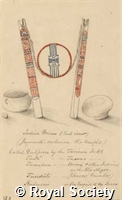 MS 236 36.jpg