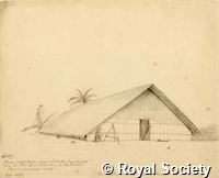 MS 236 38.jpg
