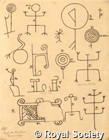 MS 236 4.jpg
