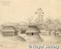 MS 236 40.jpg