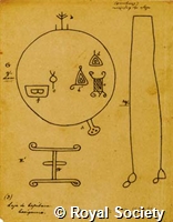MS 236 5.jpg
