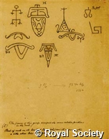 MS 236 7.jpg