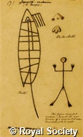 MS 236 8.jpg