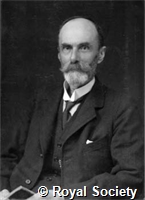 Macaulay F S, Ga Russell 17123.jpg