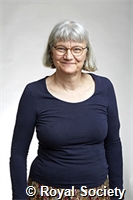 Martin, Catherine Rosemary