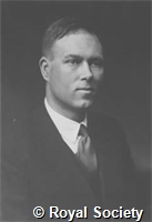 Melville H W, Ga WS 523.jpg