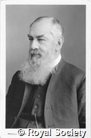 Norman A M, IM Maull 003338.jpg