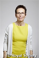 Orengo, Christine Anne