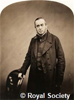 Parish W, IM Maull 003424.jpg