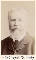 Pettigrew J B, IM Maull 003547.jpg