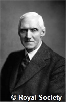 Raper H S, GA WS 1439.jpg