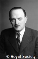 Rosenhead L, GA WS 2293.jpg