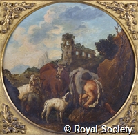 Rustics_P162_crop.jpg