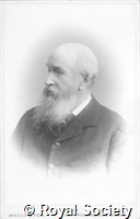 Salvin O, IM Maull 003977.jpg