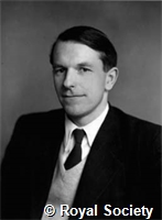 Sanger F, GA WS 4641.jpg