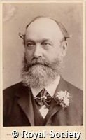 Snelus G J, IM Maull 004299.jpg
