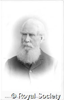 Stoney B B, IM Maull 004418.jpg