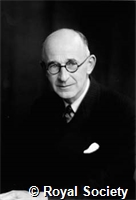 Storey H H, GA WS 2439.jpg