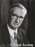 Tinbergen N, GA WRS 9060.jpg