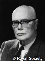 White E, GA WS 5045.jpg