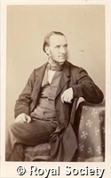 White W, IM Maull 004871.jpg