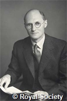 Wigglesworth V B, GA WS 3719.jpg
