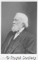 Wilks S, IM Maull 004919.jpg
