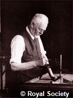 Searle G F C, IM004098.jpg
