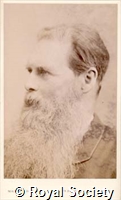 Tylor E B, IM Maull 004687.jpg